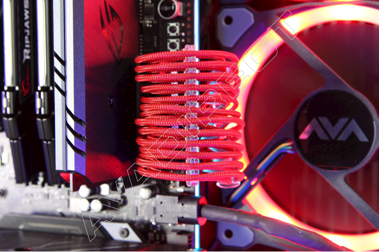 Best custom build in USA