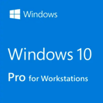 Windows 10 Pro for Workstation 64-bit DVD OEM