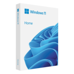 Windows 11 Home (64-Bit, USB Flash Drive)