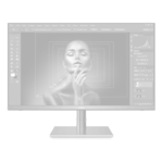 No LCD Monitor (Choose)