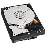 1TB RE4 (WD1003FBYX), SATA 3 Gb/s, 7200 RPM, 64MB Cache