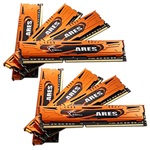 64GB (8 x 8GB) Ares Orange PC3-12800 DDR3 1600MHz CL10 (10-10-10) 1.5V SDRAM DIMM, Non-ECC