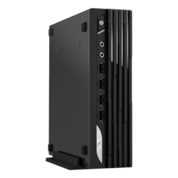 MSI PRO DP21 13M-495US Custom Micro Form Factor Desktop