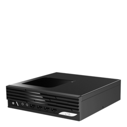MSI PRO DP21 13M-495US Custom Micro Form Factor Desktop