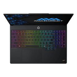 Lenovo Legion 5a (15", 11) Custom Gaming Laptop