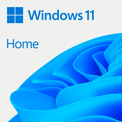 Windows 11 Home 64-bit DVD OEM