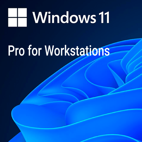 Windows 11 Pro for Workstations DVD OEM