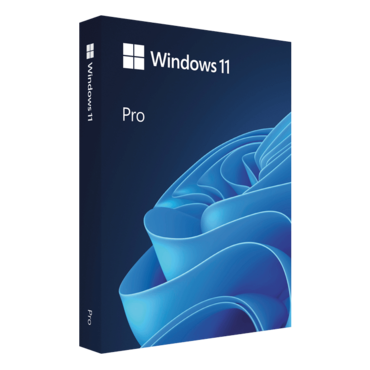Windows 11 Pro (64-Bit, USB Flash Drive)