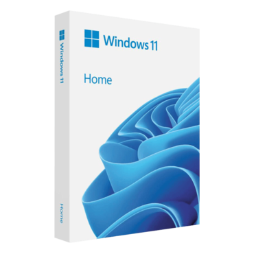 Windows 11 Home (64-Bit, USB Flash Drive)