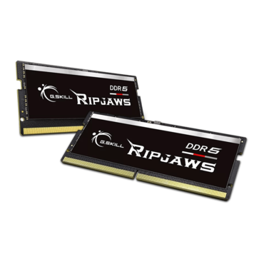 64GB (2 x 32GB) Ripjaws DDR5 4800MT/s, CL38, SO-DIMM Memory