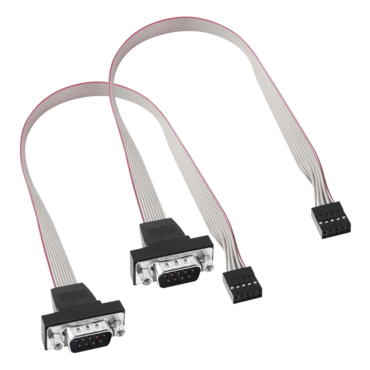2Pack DB9 to 10Pin IDC Serial Cable (0.3m)