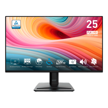 PRO MP252 E2, 24.5&quot; IPS, 1920 x 1080 (FHD), 1 ms, 120Hz, Monitor