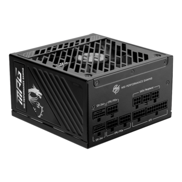 MPG A1250GS PCIE5, 80 PLUS Gold 1250W, Full Modular, ATX Power Supply