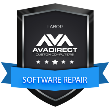 Software Repair Labor