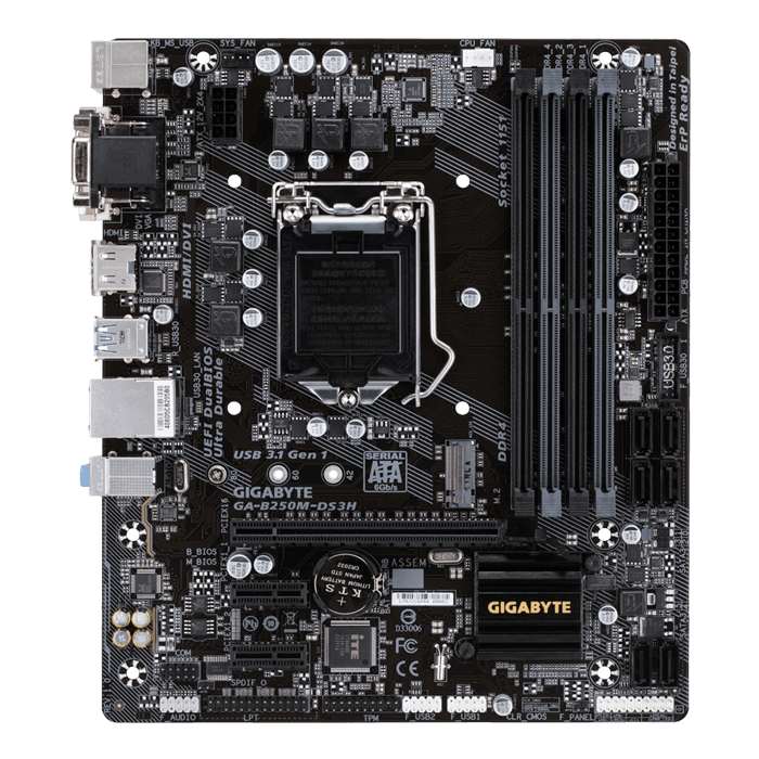 GIGABYTE GA-B250M-DS3H LGA1151 Intel Micro ATX DDR4 Motherboard