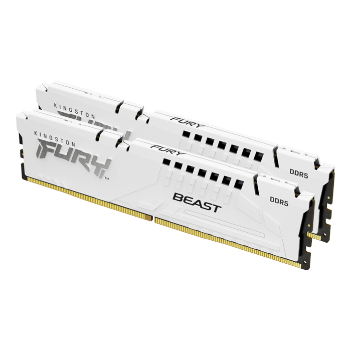 KINGSTON FURY BEAST DDR5 16GB (8GB x 2) 【公式通販】