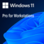 Pre-installed Windows 11 Pro for Workstations 64-bit Edition