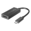 USB-C to DisplayPort Adapter