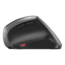 MW 4500, 1200-dpi, Wireless, Black, Optical Ergonomic Mouse