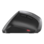 MW 4500 Left, 1200-dpi, Wireless, Black, Optical Ergonomic Mouse