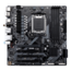 A620M C, AMD A620 Chipset, AM5, microATX Motherboard