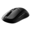 VERSA 300 WIRELESS, RGB, 8000-dpi, Wired/Bluetooth/Wireless, Black, Optical Gaming Mouse